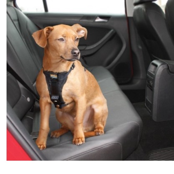 Kurgo Other - Kurgo Enhanced Strength Tru-Fit Dog Car Harness 🐶🦮